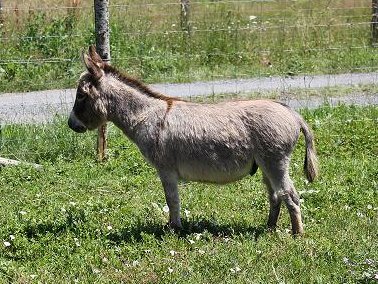 photo2_gunnerbonpoursite